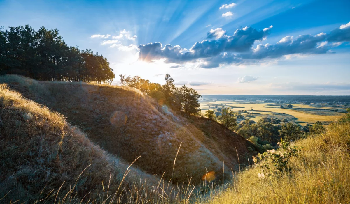 Wycena tego jak opublikować artykuł