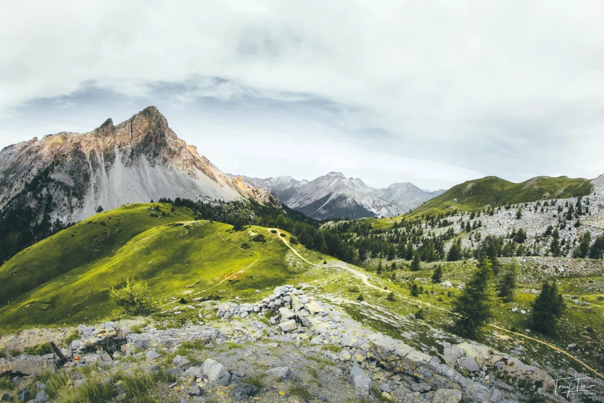 2023 czas aby lepiej  kupić elektronikę