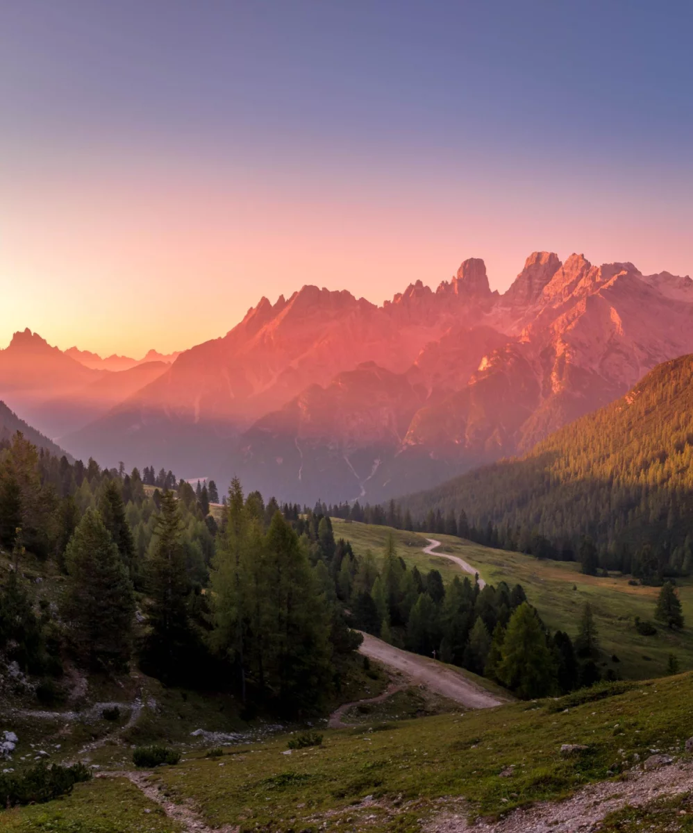 Wysyłanie i wybór kartki z zaproszeniem na ślub