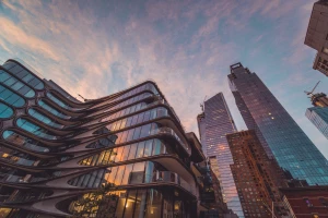 Czy żeby wykonywać trening potrzebne są studia?