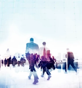 Rodzaje specjalizacji prawnych - krótko i na temat