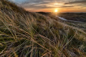 Co musisz wiedzieć o usługach geodezyjnych